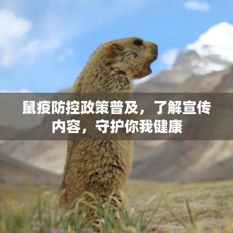 鼠疫防控政策普及，了解宣传内容，守护你我健康