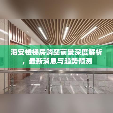 海安楼梯房购买前景深度解析，最新消息与趋势预测