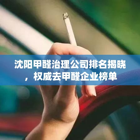 沈阳甲醛治理公司排名揭晓，权威去甲醛企业榜单