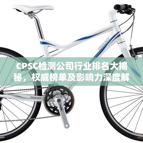 CPSC检测公司行业排名大揭秘，权威榜单及影响力深度解析