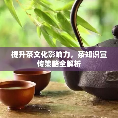 提升茶文化影响力，茶知识宣传策略全解析