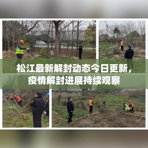 松江最新解封动态今日更新，疫情解封进展持续观察