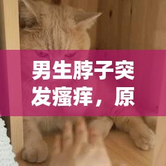 男生脖子突发瘙痒，原因解析、处理方法与预防策略
