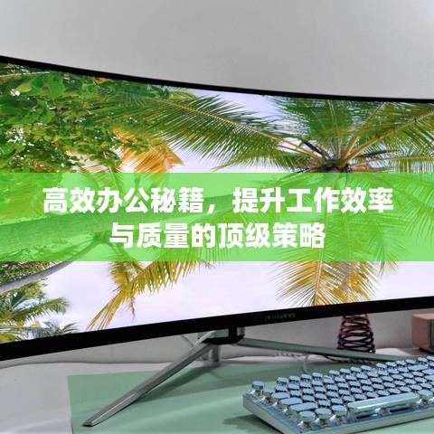 高效办公秘籍，提升工作效率与质量的顶级策略