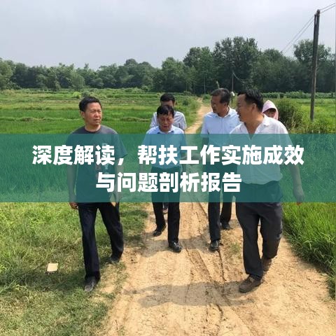 深度解读，帮扶工作实施成效与问题剖析报告