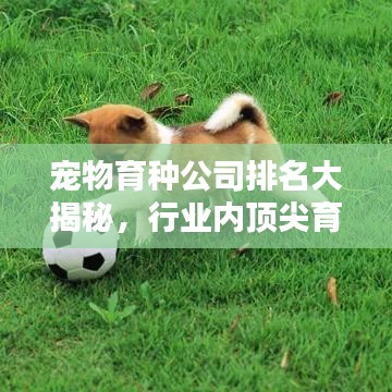 宠物育种公司排名大揭秘，行业内顶尖育种企业榜单！