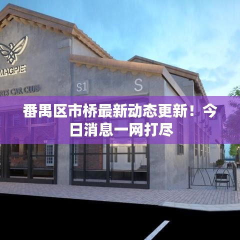 番禺区市桥最新动态更新！今日消息一网打尽