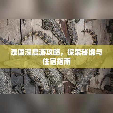 2025年6月2日 第2页