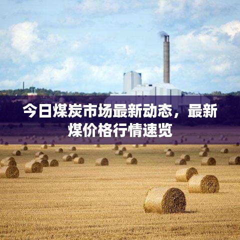 今日煤炭市场最新动态，最新煤价格行情速览