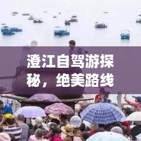 2025年6月3日 第5页
