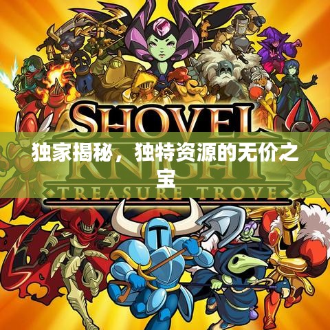 独家揭秘，独特资源的无价之宝