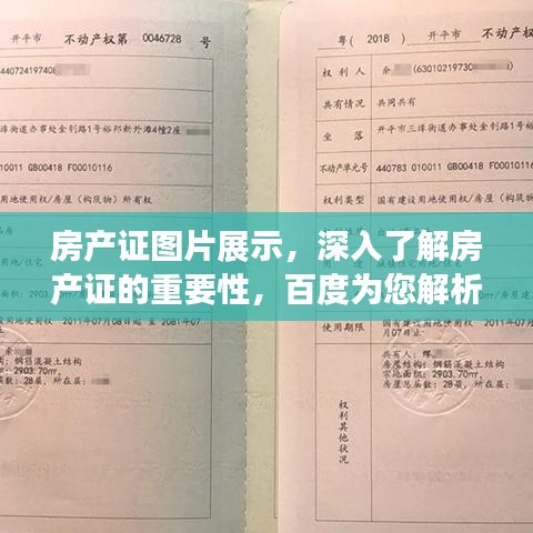 2025年6月4日 第3页