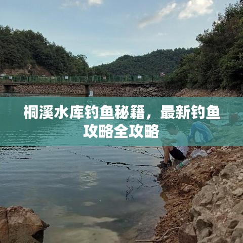 桐溪水库钓鱼秘籍，最新钓鱼攻略全攻略