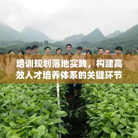 培训规划落地实践，构建高效人才培养体系的关键环节