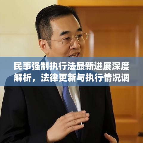 民事强制执行法最新进展深度解析，法律更新与执行情况调查