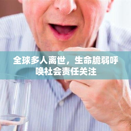 全球多人离世，生命脆弱呼唤社会责任关注