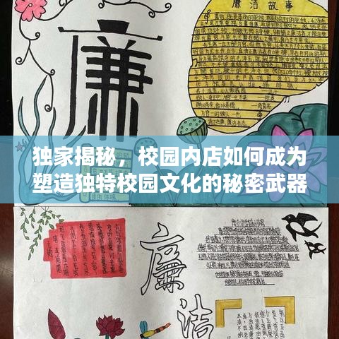 独家揭秘，校园内店如何成为塑造独特校园文化的秘密武器