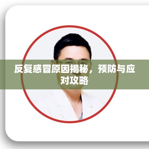 反复感冒原因揭秘，预防与应对攻略