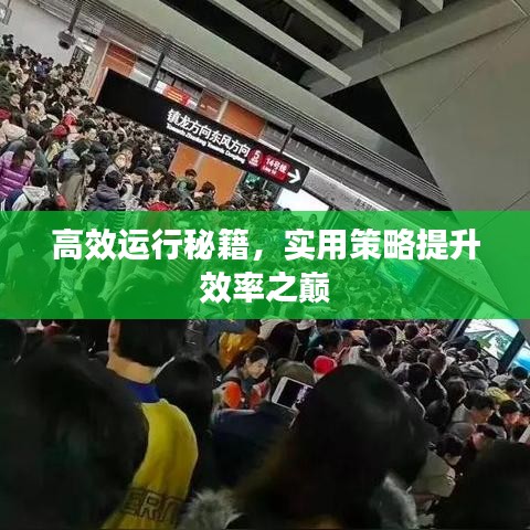 夸夸其谈