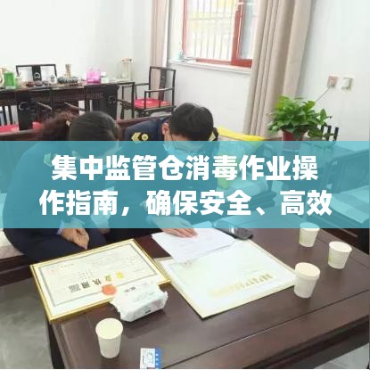 集中监管仓消毒作业操作指南，确保安全、高效的消毒流程