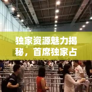 独家资源魅力揭秘，首席独家占有下载全攻略