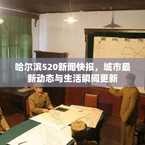 哈尔滨520新闻快报，城市最新动态与生活瞬间更新