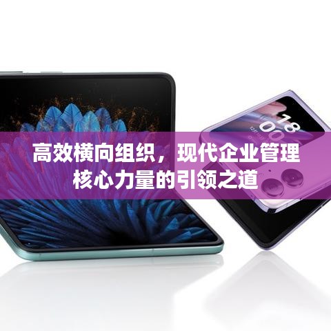 高效横向组织，现代企业管理核心力量的引领之道