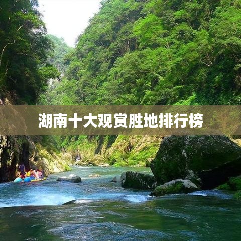 生张熟魏