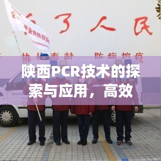 陕西PCR技术的探索与应用，高效实践与发展之路