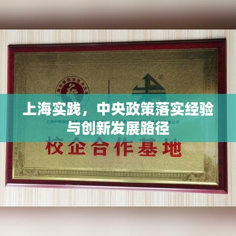 上海实践，中央政策落实经验与创新发展路径