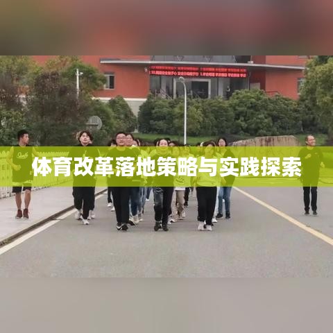 体育改革落地策略与实践探索