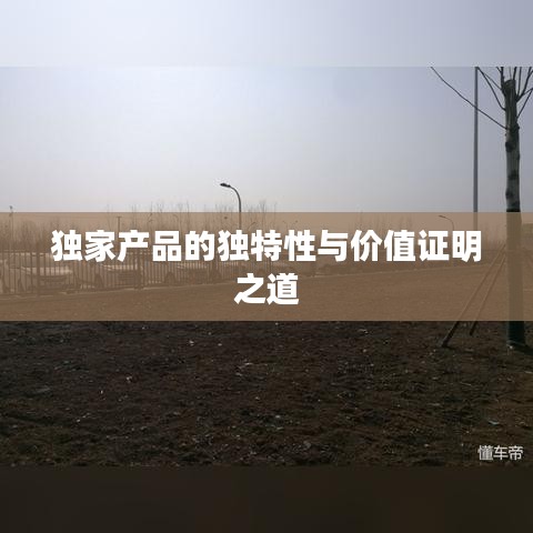 独家产品的独特性与价值证明之道