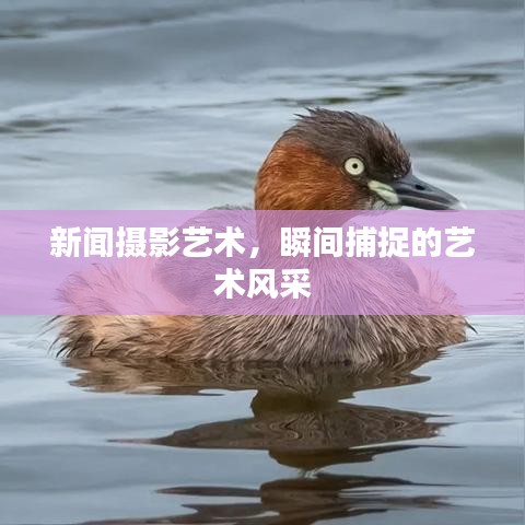 新闻摄影艺术，瞬间捕捉的艺术风采
