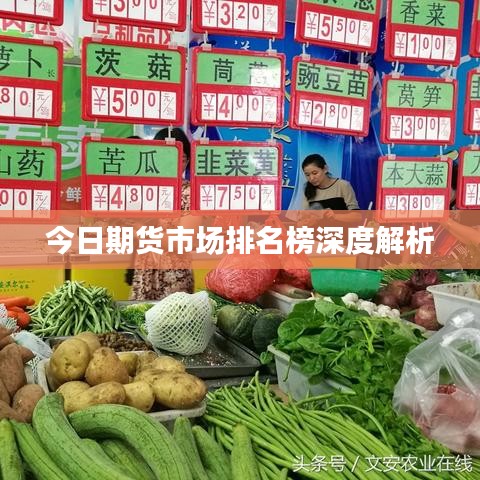 今日期货市场排名榜深度解析