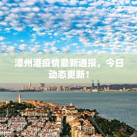 漳州港疫情最新通报，今日动态更新！