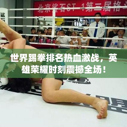 世界踢拳排名热血激战，英雄荣耀时刻震撼全场！