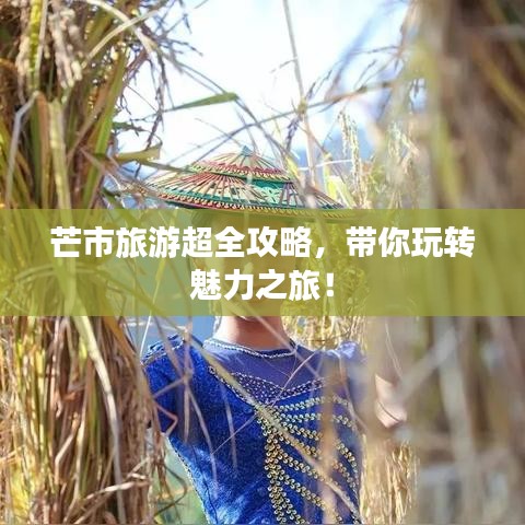 芒市旅游超全攻略，带你玩转魅力之旅！