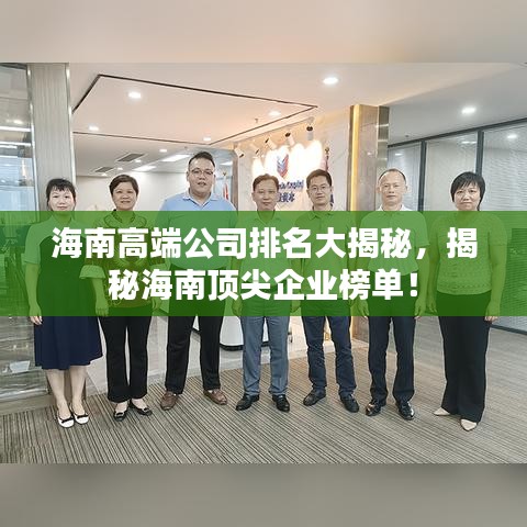 海南高端公司排名大揭秘，揭秘海南顶尖企业榜单！