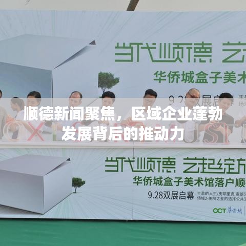 顺德新闻聚焦，区域企业蓬勃发展背后的推动力