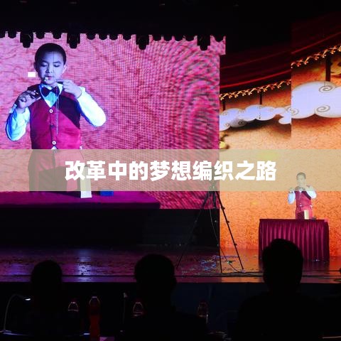 改革中的梦想编织之路