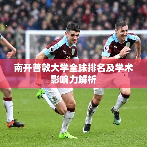 南开普敦大学全球排名及学术影响力解析