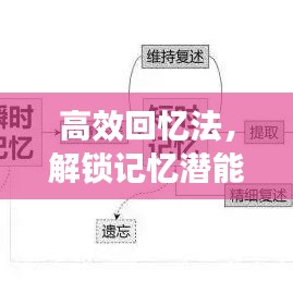 高效回忆法，解锁记忆潜能，提升记忆力
