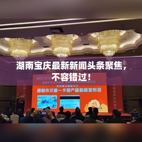 湖南宝庆最新新闻头条聚焦，不容错过！