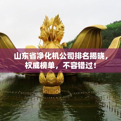 山东省净化机公司排名揭晓，权威榜单，不容错过！