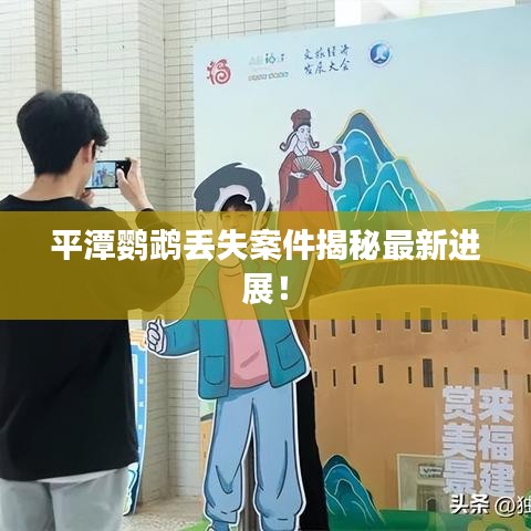 平潭鹦鹉丢失案件揭秘最新进展！