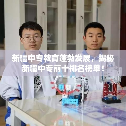 将机就机