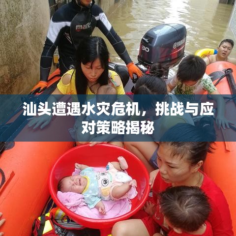 尽善尽美