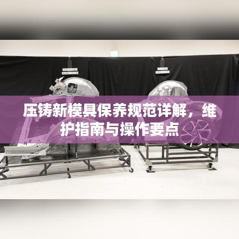 物稀为贵